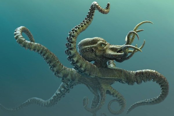 Kraken ссылка kraken torion