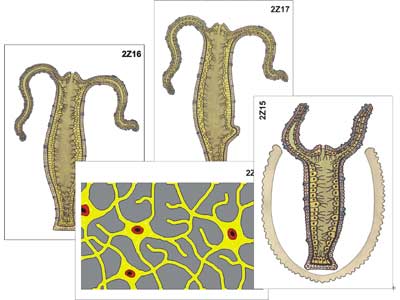 Кракен сайт krakens13 at