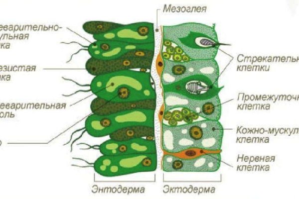 Аккаунты кракен