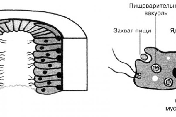 Сайт кракен рабочая ссылка